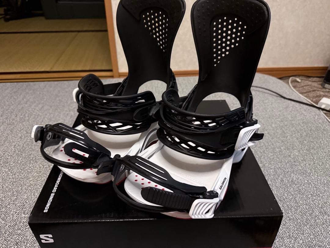 SALOMON ホログラム　HOLOGRAM DUSTY 日本正規品 限定