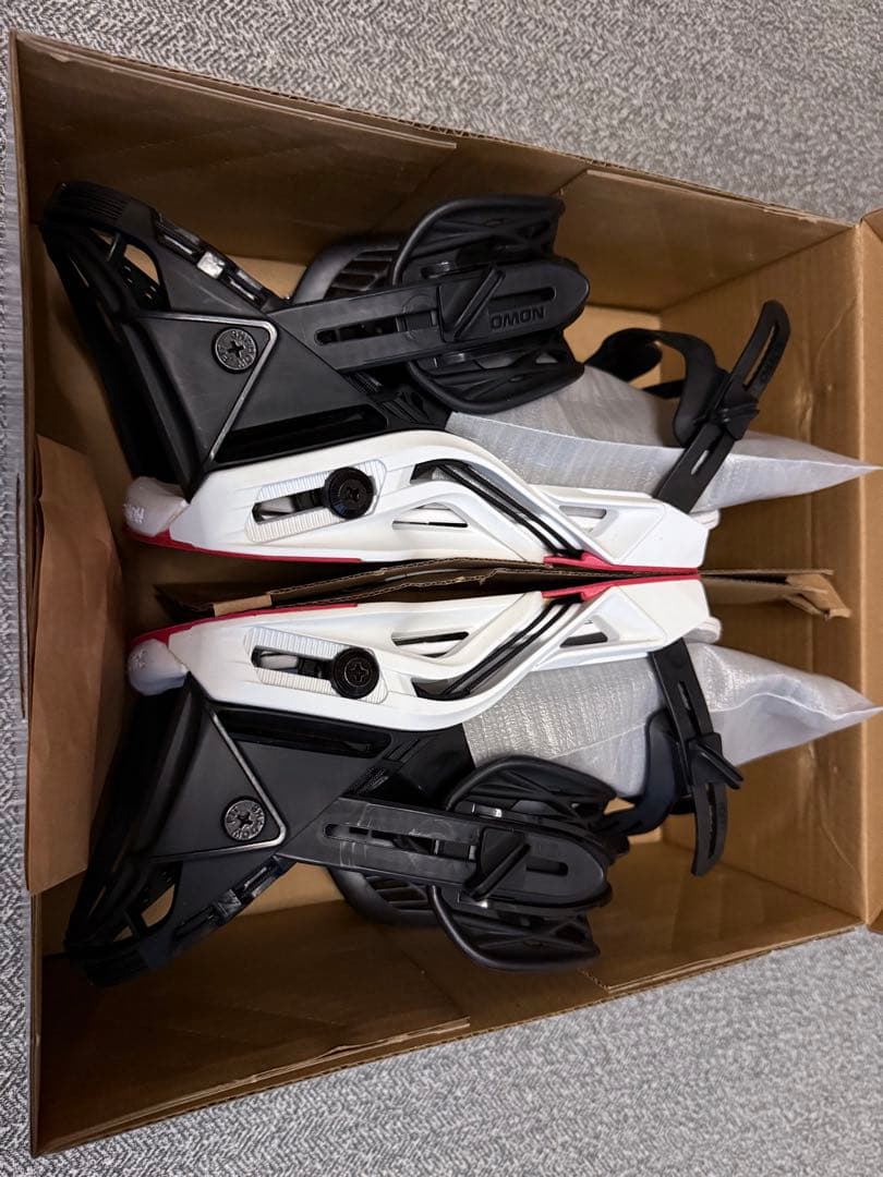 SALOMON ホログラム　HOLOGRAM DUSTY 日本正規品 限定