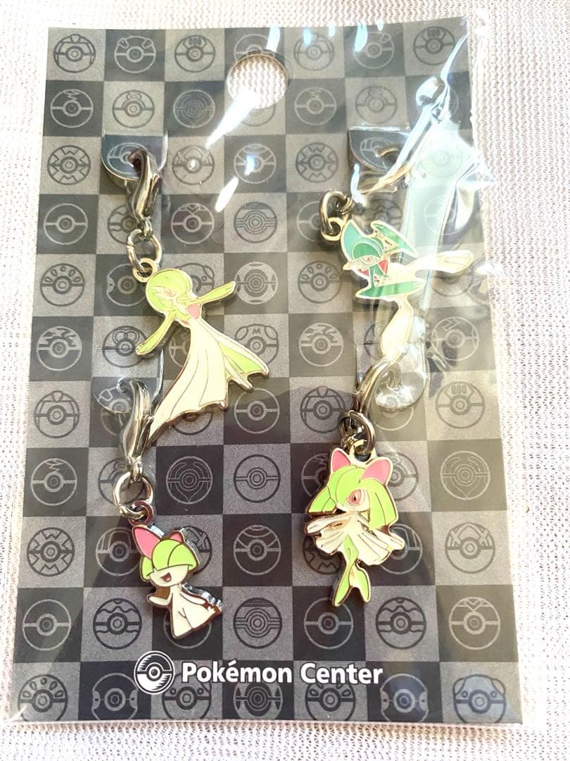 ★ポケモン全国ずかんメタルチャーム