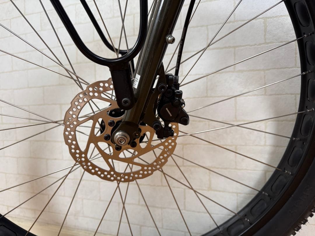 Surly ECR 29+ マウンテンバイク サーリー　クロモリ　グリーン