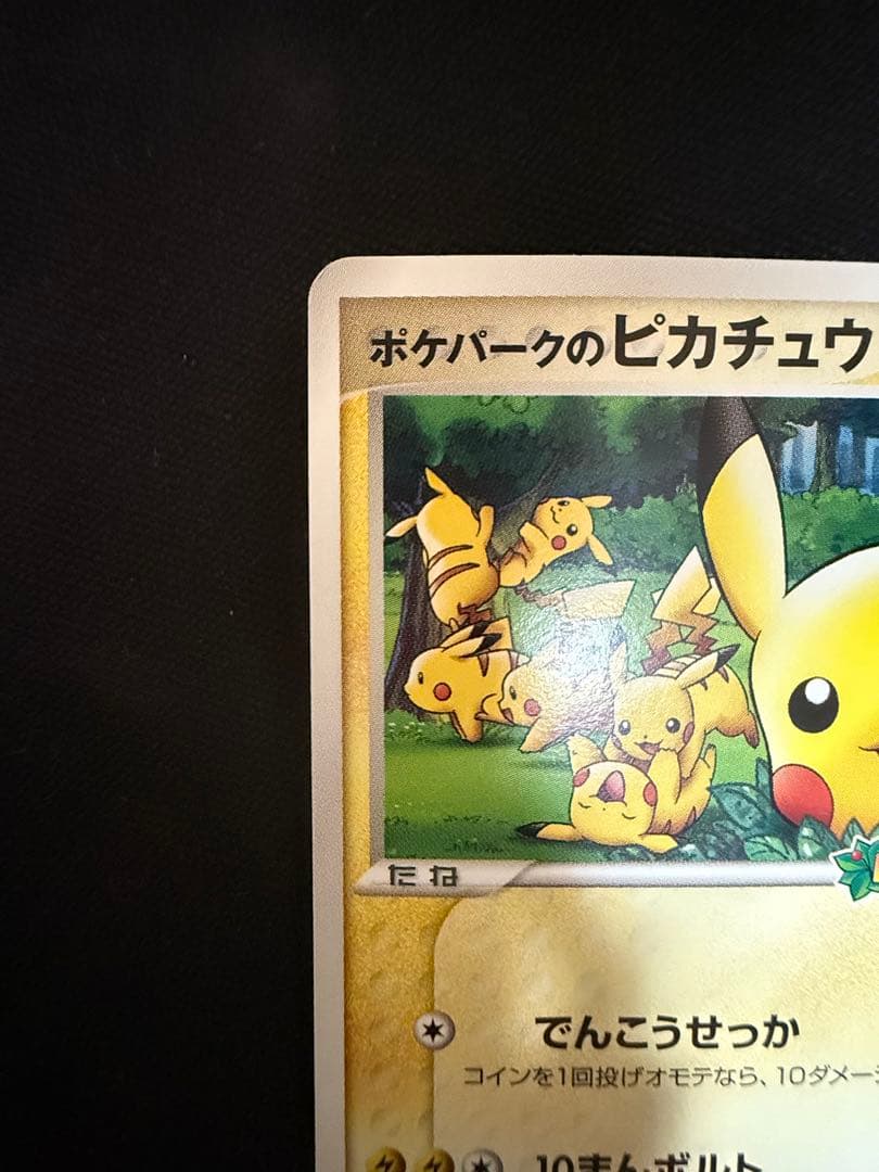 ポケパークのピカチュウ レックウザ