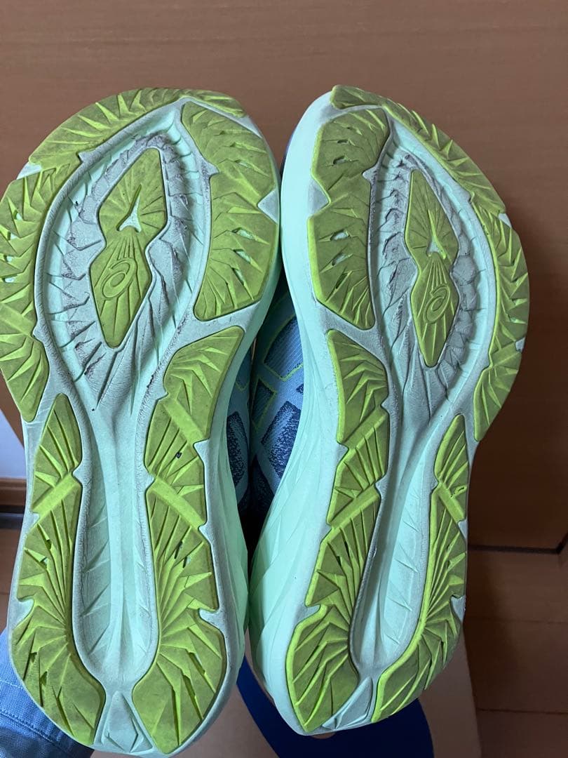 ASICS ノヴァブラスト4 27.5cm