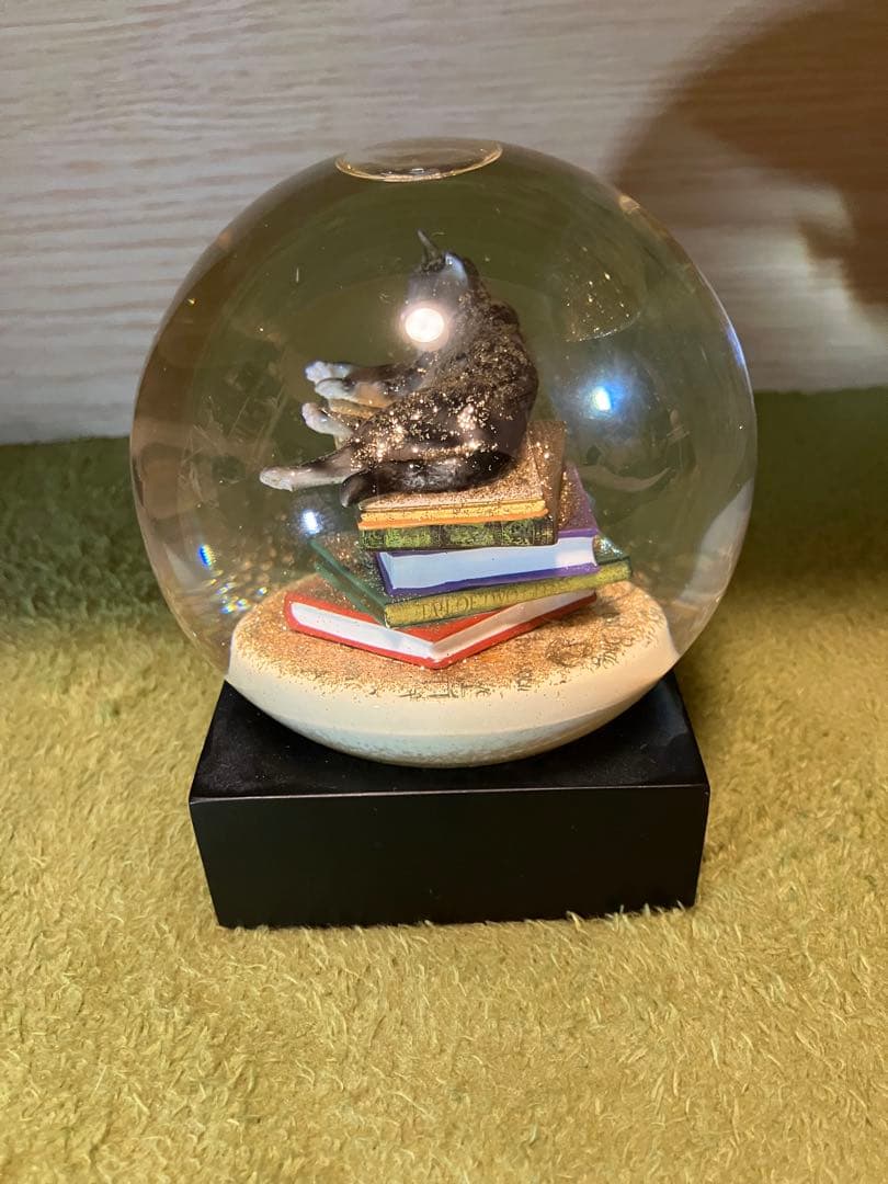 COOLGLOBES スノードーム Cat on Book 気泡あり
