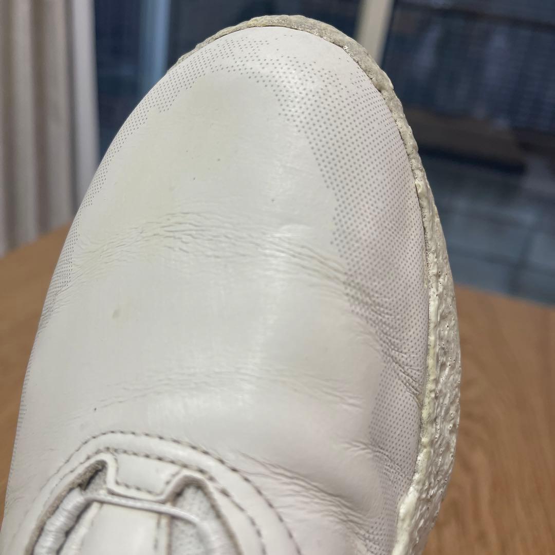 ★ECCO(エコー)Golf Biom H5 Hybrid 41★