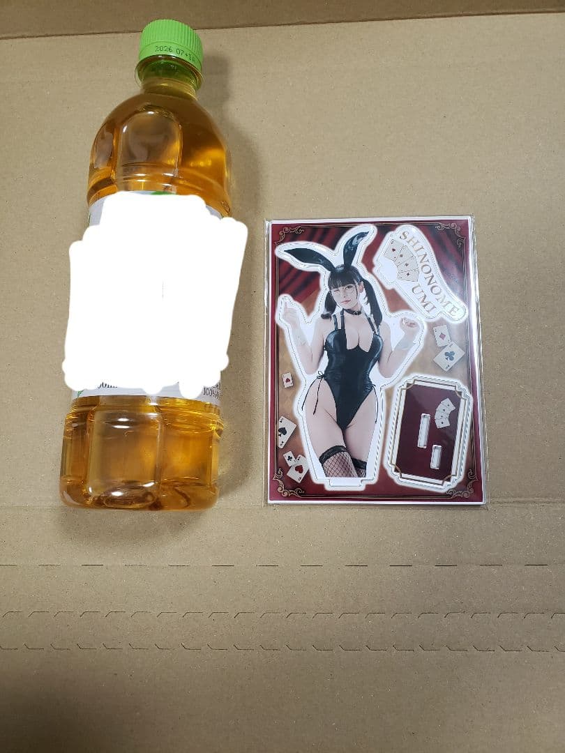 東雲うみ　アクリルスタンド、写真集2冊