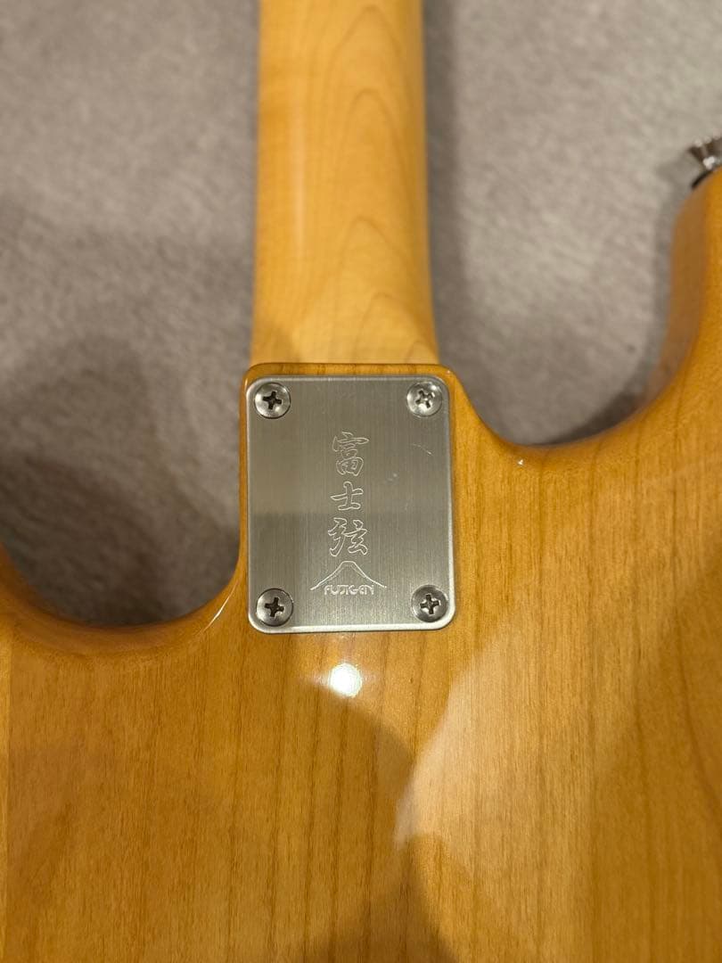 FGN NST12RAL-VNT/01 P90 純正ケース付