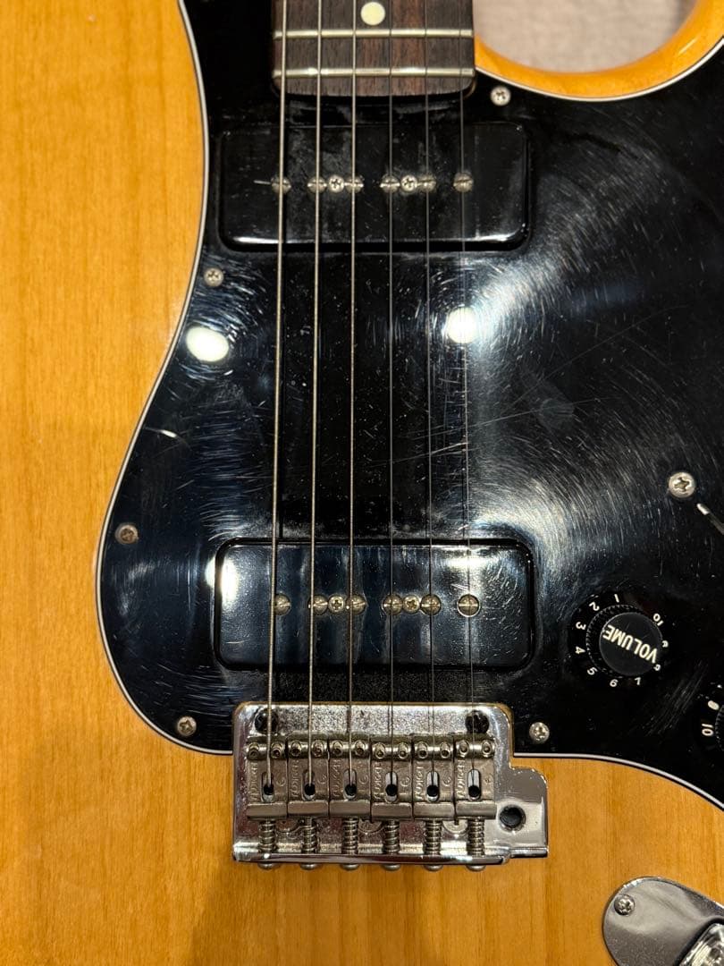 FGN NST12RAL-VNT/01 P90 純正ケース付