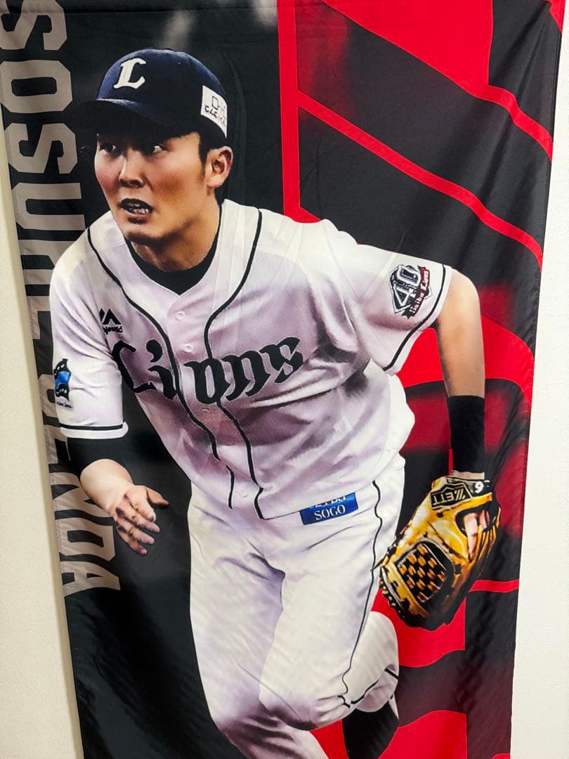 源田壮亮　タペストリー
