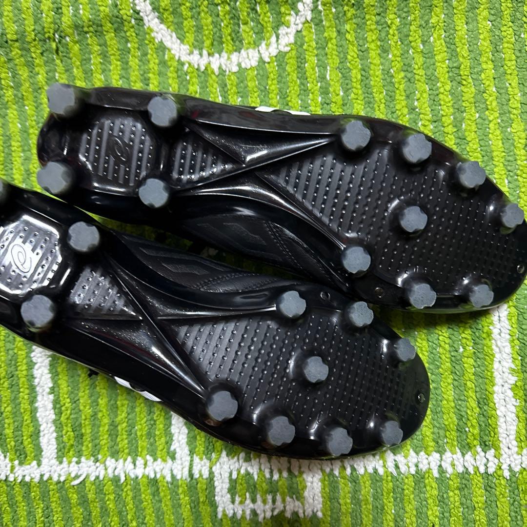 TS 完全最終値下げDS LIGHT X-FLY4 26cm