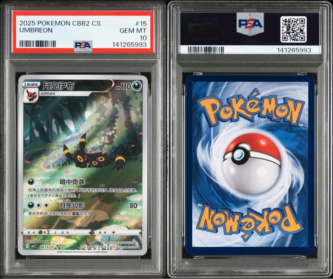 中国　ブラッキー　AR PSA10