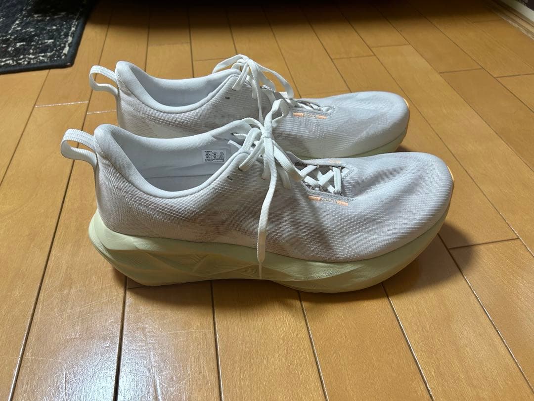 ASICS NOVABLAST 5 アシックス ノヴァブラスト 5 29.0cm