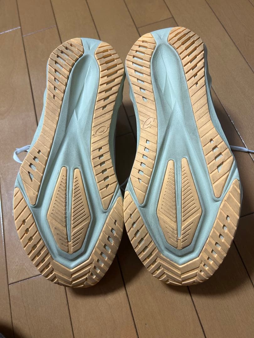 ASICS NOVABLAST 5 アシックス ノヴァブラスト 5 29.0cm