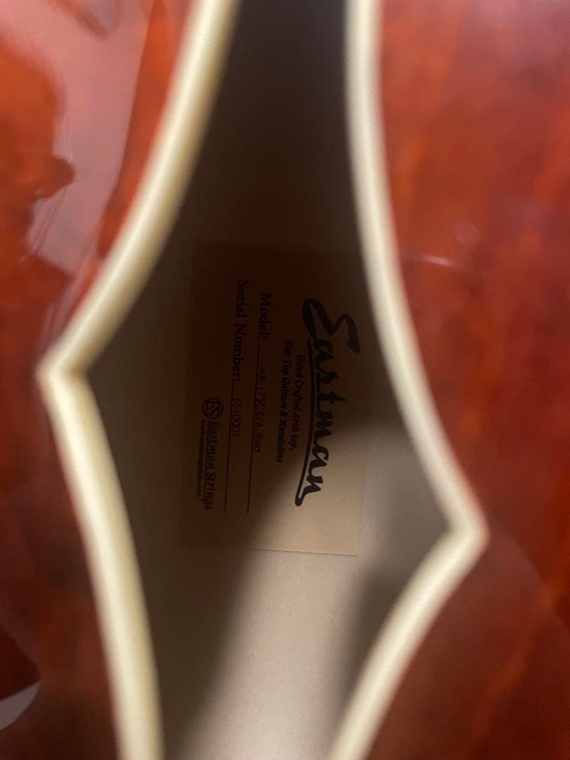 Eastman AR-175CE フルアコースティックギター　ハードケース付属