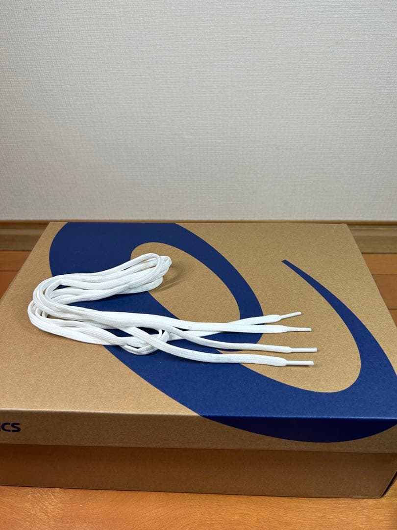 メタライズ2 ( ASICS RISE 2 ) 27.5cm