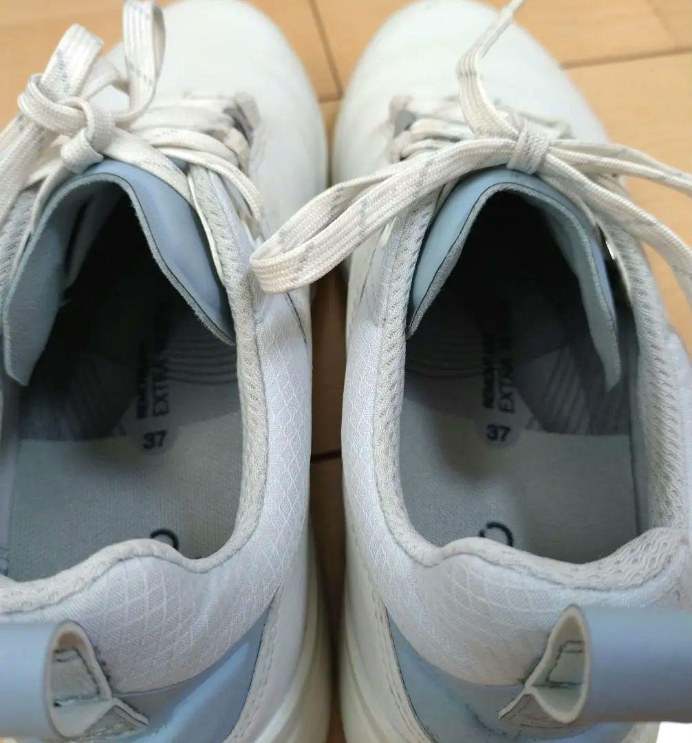 ecco バイオム H4 BIOM レディースゴルフシューズ　23.5　状態良好