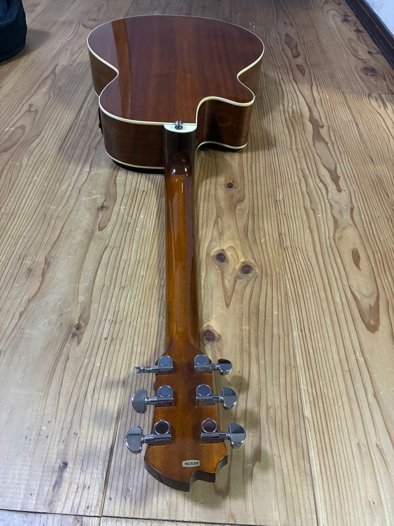 James JE450/NTA ケース付き エレアコ