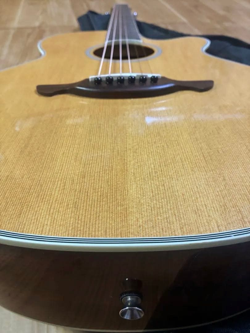 James JE450/NTA ケース付き エレアコ