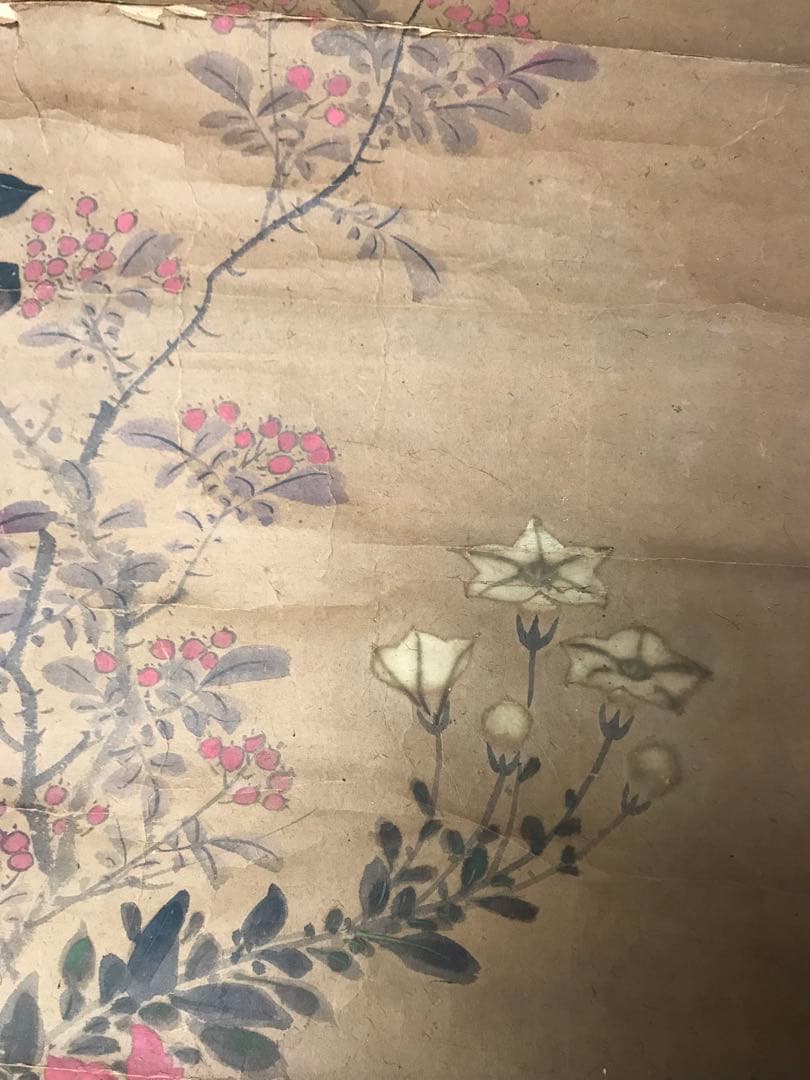 アンティーク　紙本　花鳥水彩画　マクリ　在銘　古画