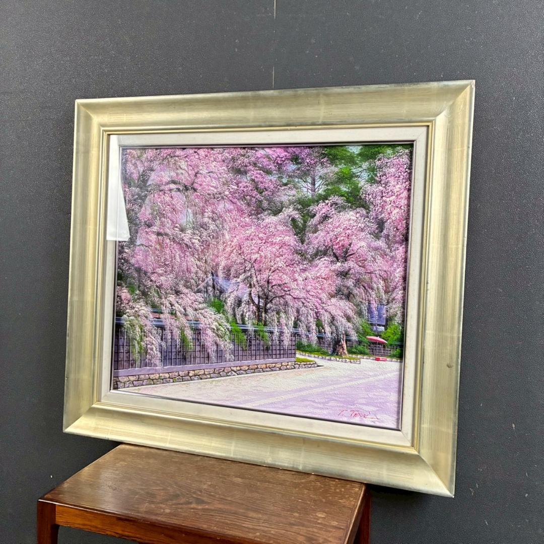 美品 寺井孝「角館の桜」キャンバスに油彩 10号 彩波会 春 枝垂れ桜 名品