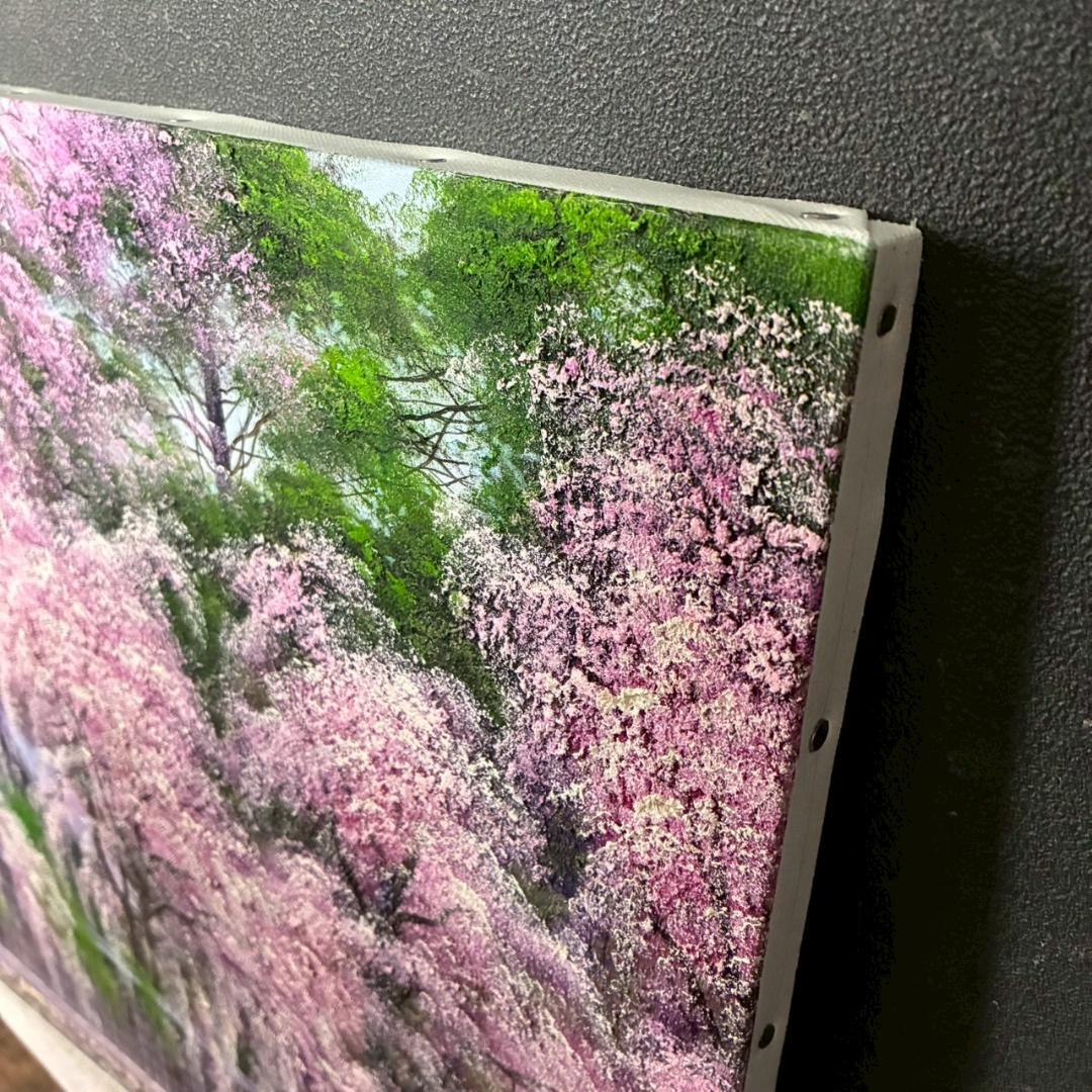 美品 寺井孝「角館の桜」キャンバスに油彩 10号 彩波会 春 枝垂れ桜 名品