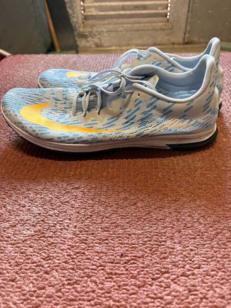 Nike ストリークLT4 27.5