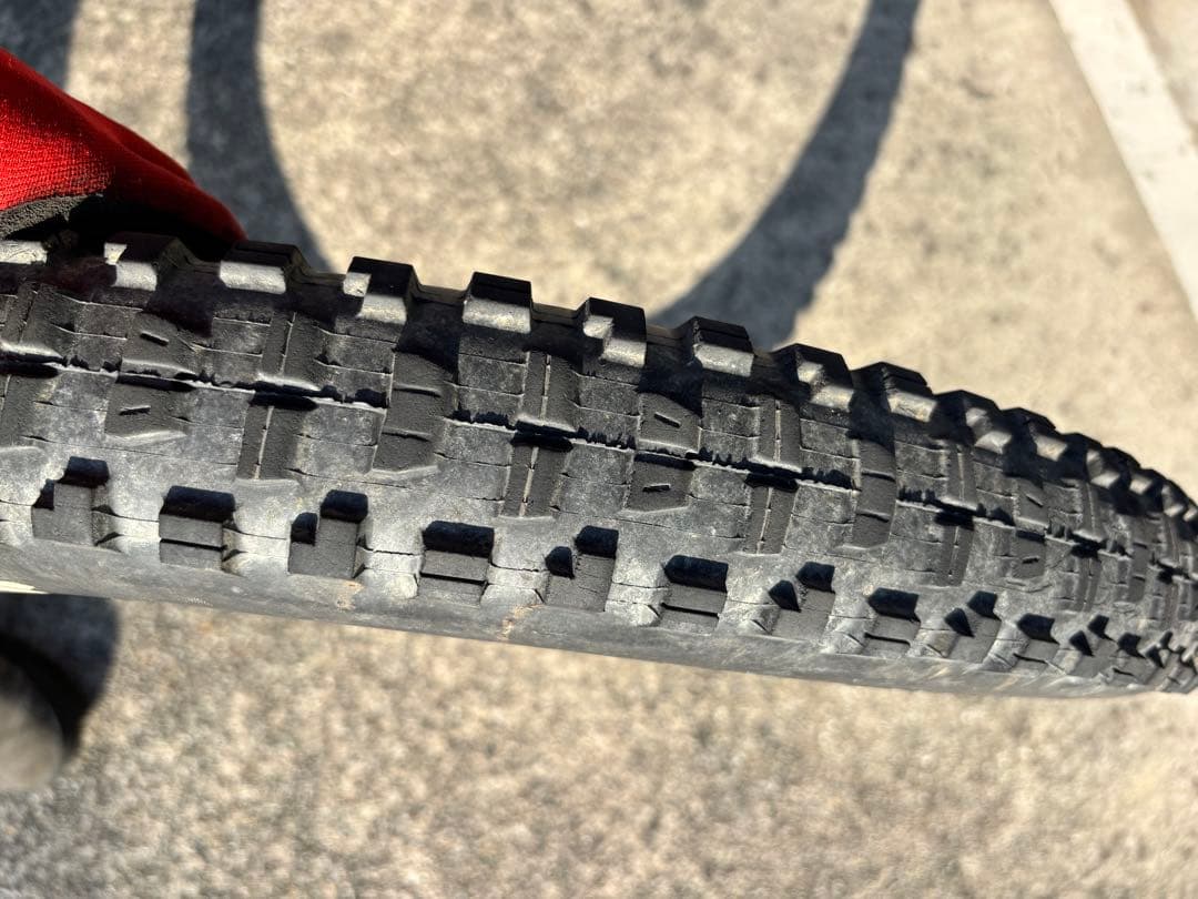 Maxxis Minion DHF DHR 29/27.5 2本セット 残山多