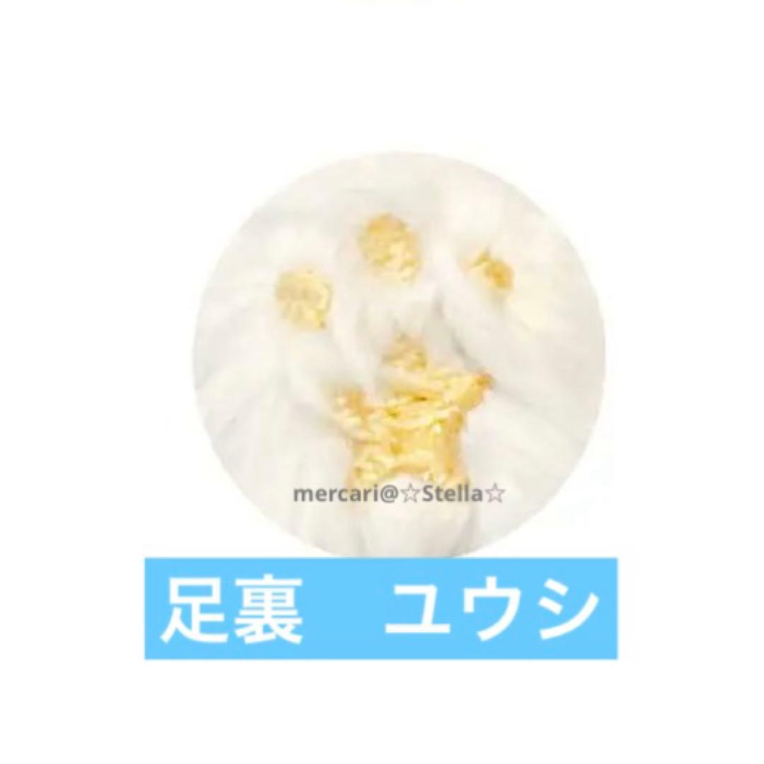 ☆新品未開封品☆NCT WISH ユウシ　8cm おすわりぬいぐるみ　セット