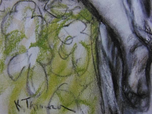 田村孝之介、衣、希少・大判画集画、新品高級額・額装付、状態良好