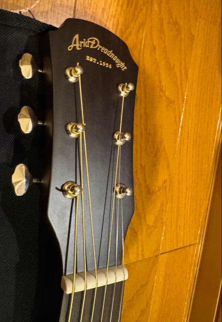 初心者おすすめ！　調整済みアコギ　Aria Dreadnought AF-205
