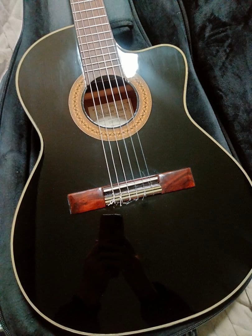 Ibanez エレガット エレガットギター アイバニーズ