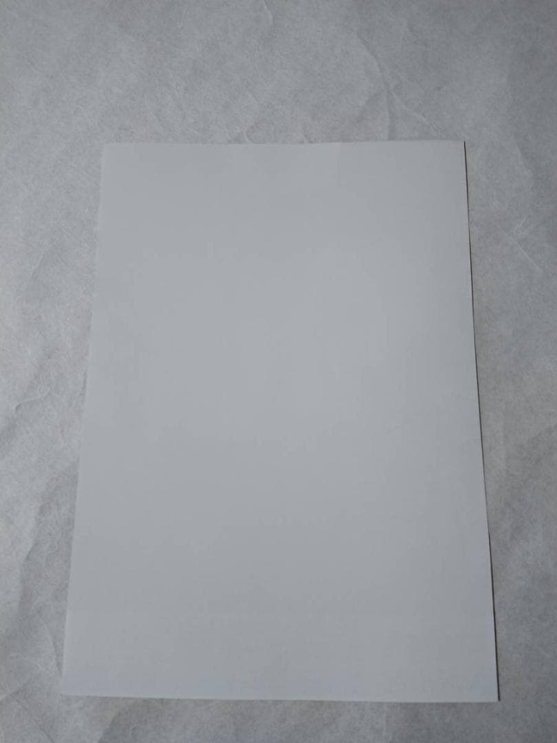 ★矢沢永吉・2007年・大阪城ホ－ル・B5サイズチラシ