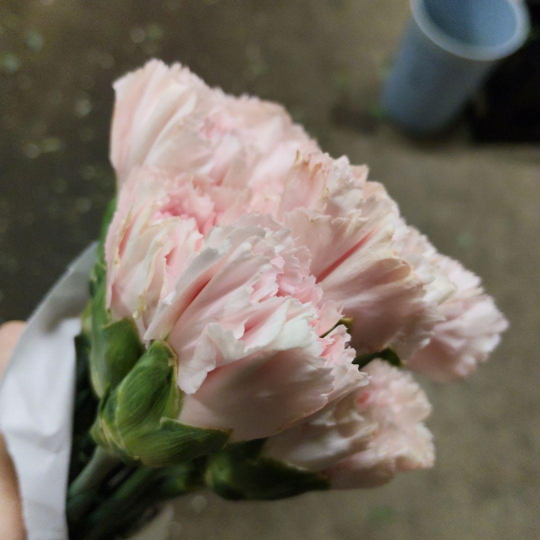 そら様同梱