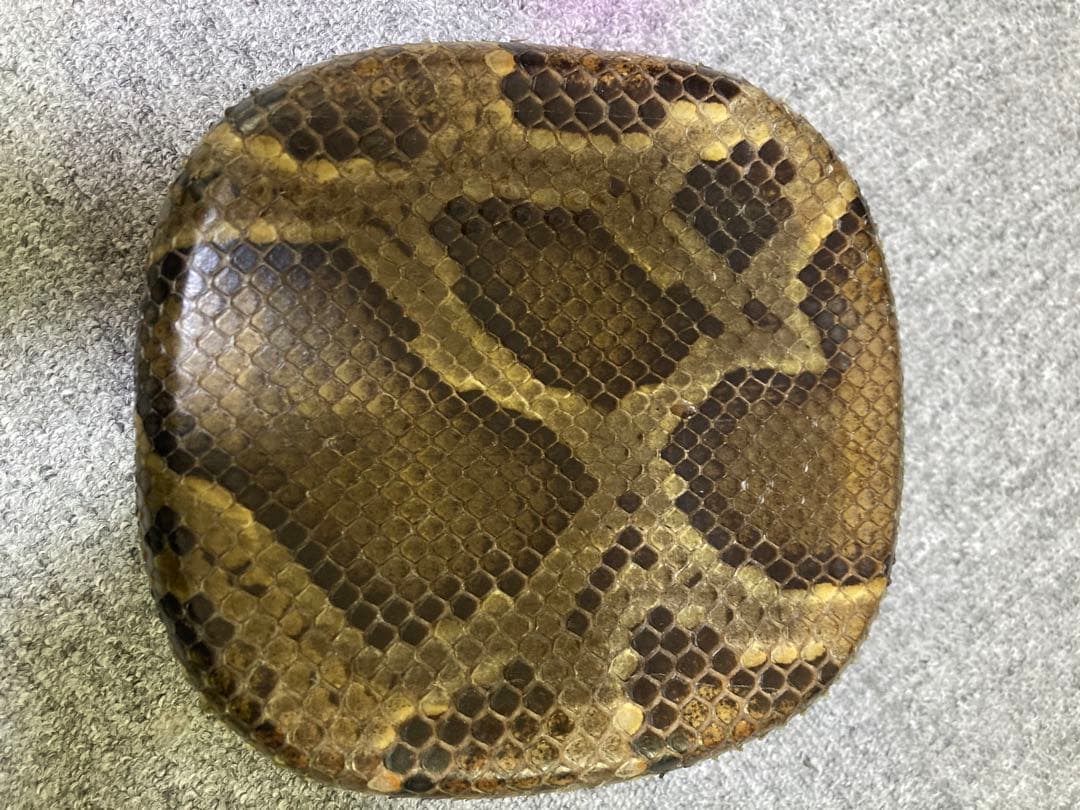 三線　胴　チーガ　本皮1枚張り