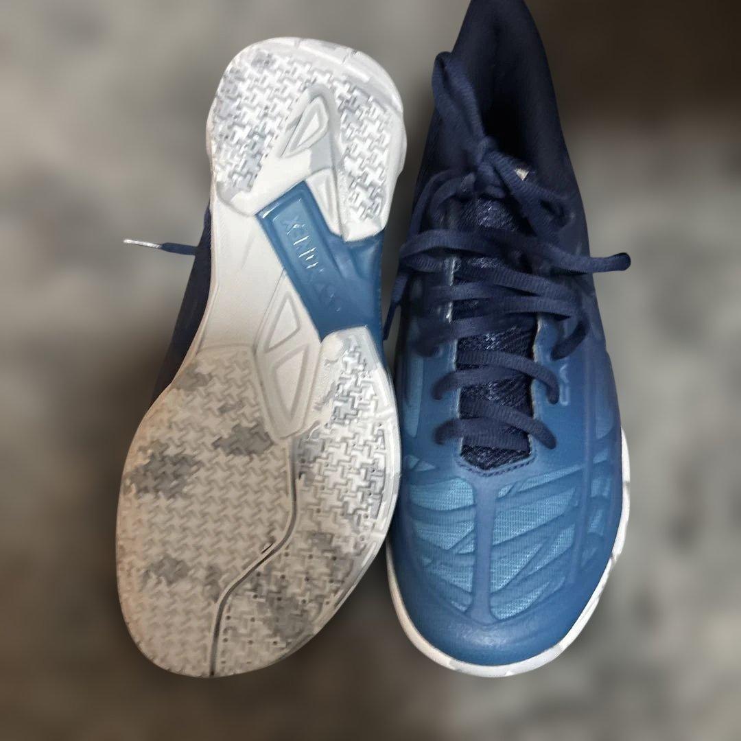 ヨネックスバドミントンシューズ　カスケードドライブ　25