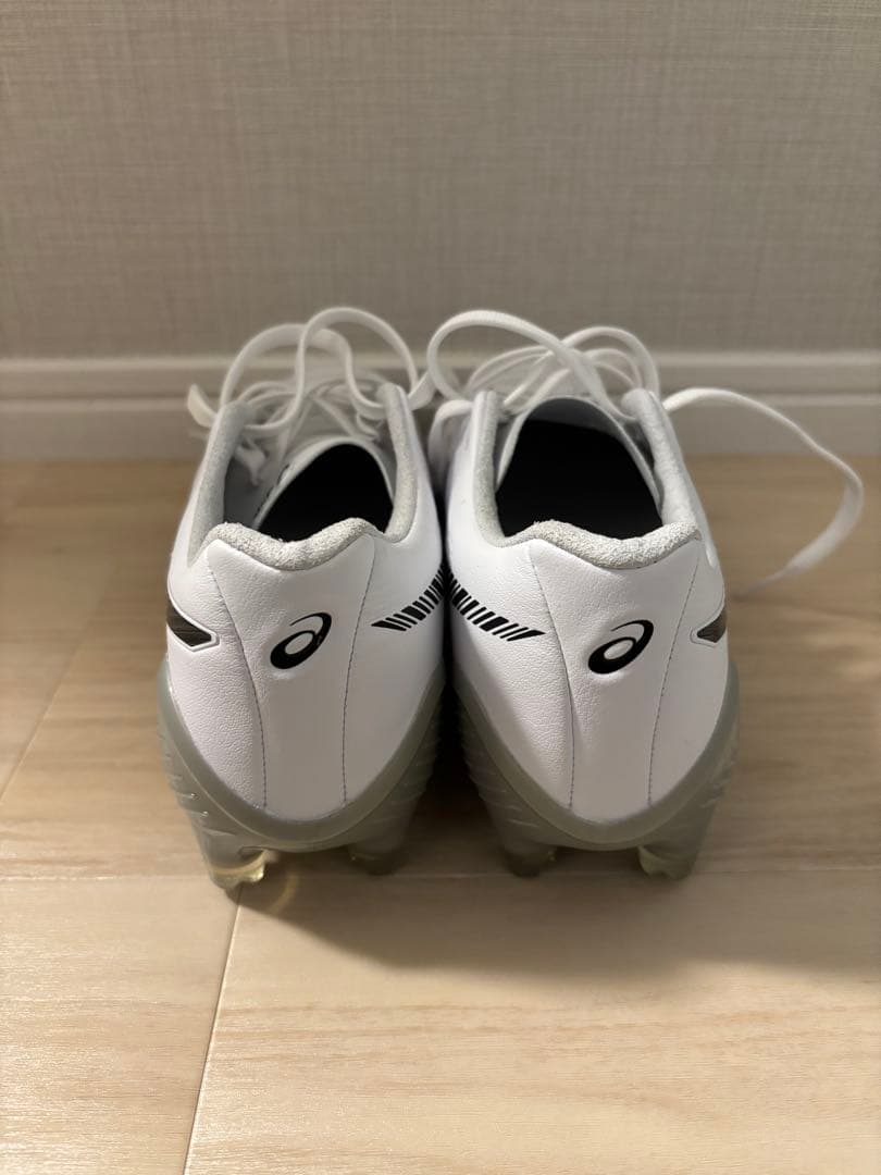 asics アシックス DS LIGHT X-FLY5 24.5cm