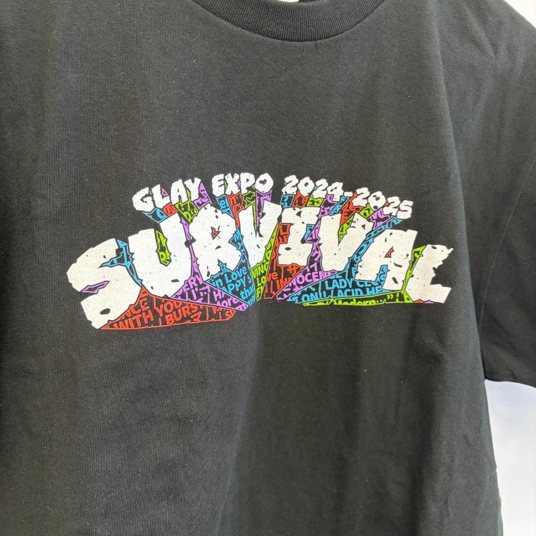 GLAY 30周年記念 Tシャツ Lサイズ ブラック　2枚セット