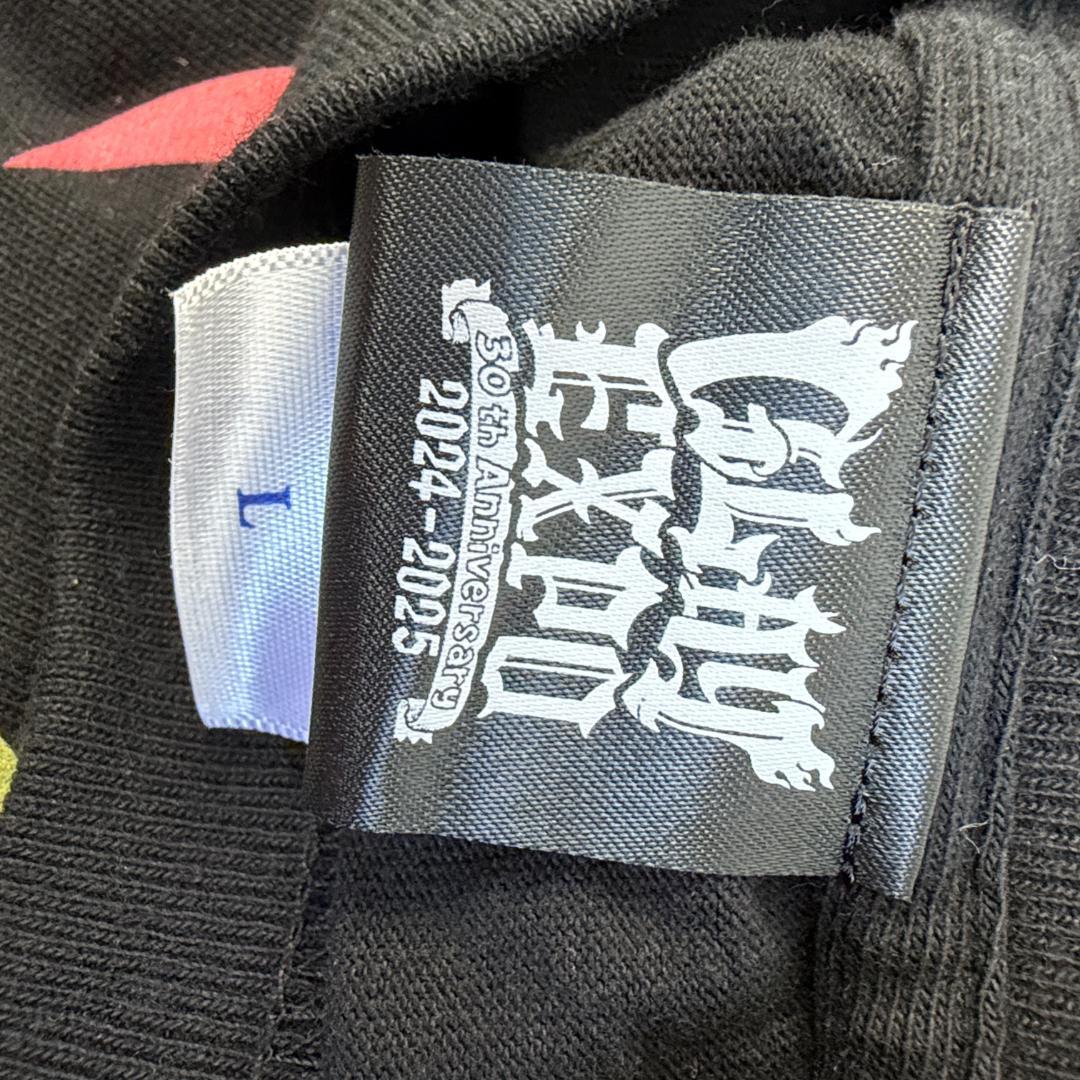 GLAY 30周年記念 Tシャツ Lサイズ ブラック　2枚セット