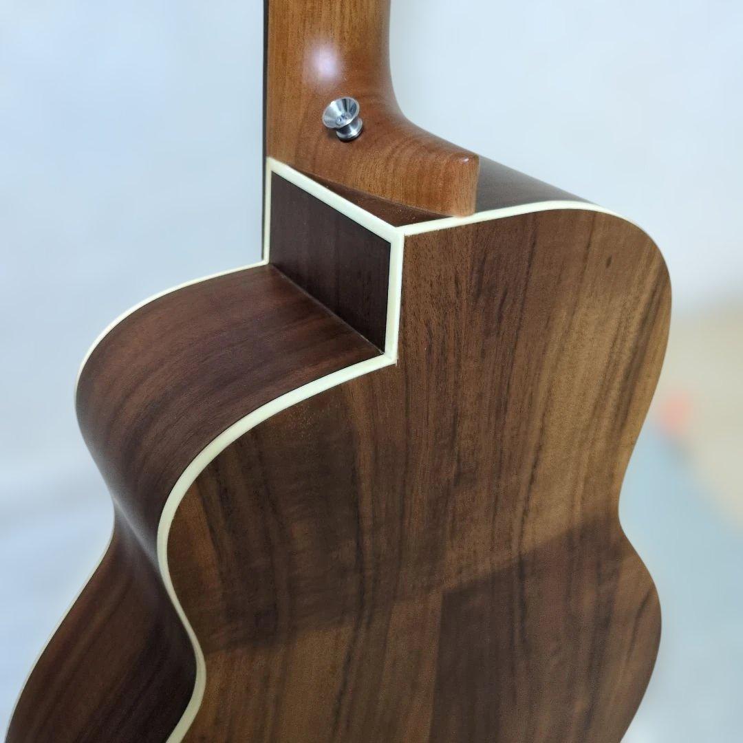 【超美品】aNueNue Bird M 3 アコースティックギター＆ギターケース