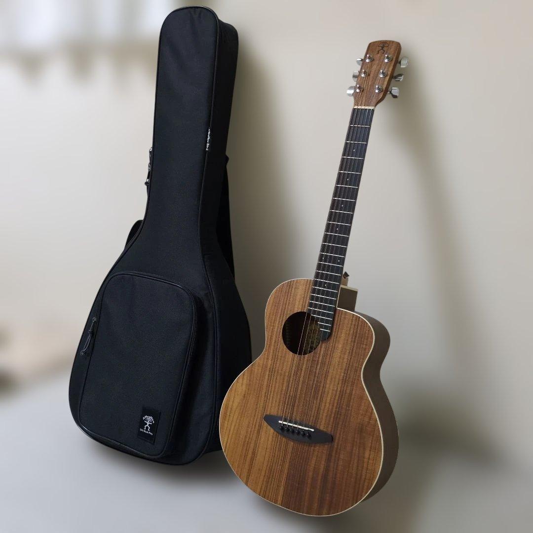 【超美品】aNueNue Bird M 3 アコースティックギター＆ギターケース