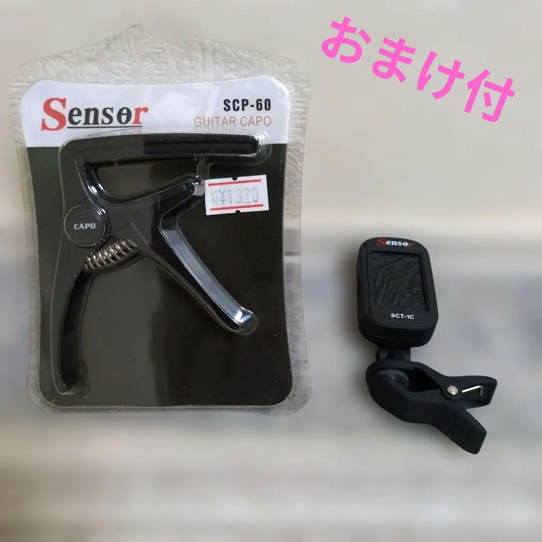 【超美品】aNueNue Bird M 3 アコースティックギター＆ギターケース