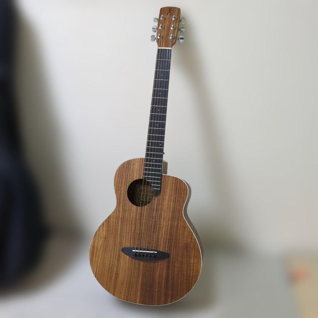 【超美品】aNueNue Bird M 3 アコースティックギター＆ギターケース