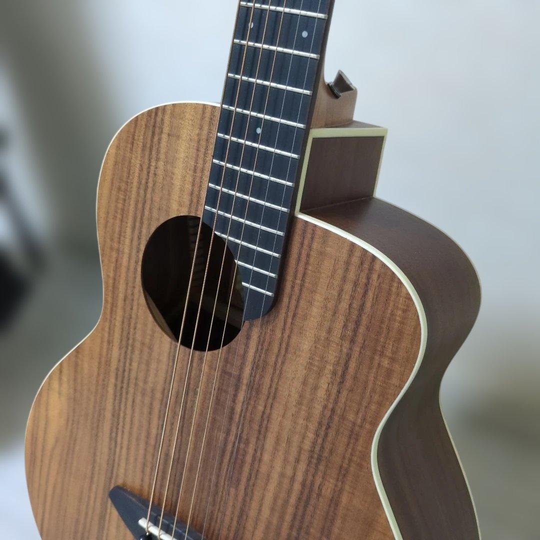 【超美品】aNueNue Bird M 3 アコースティックギター＆ギターケース