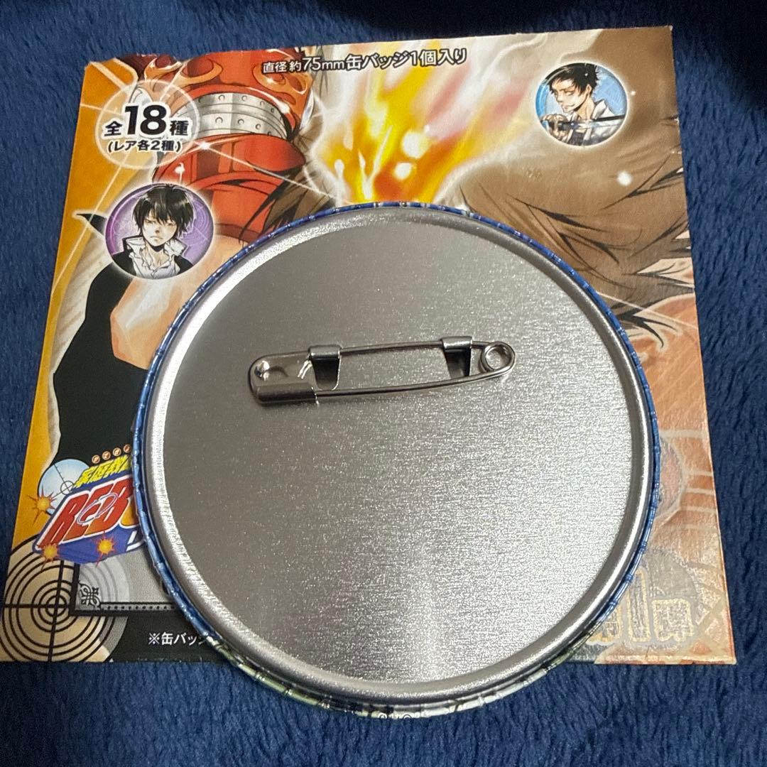 家庭教師ヒットマンREBORN! コレクション缶バッジ WJ50周年展 六道骸