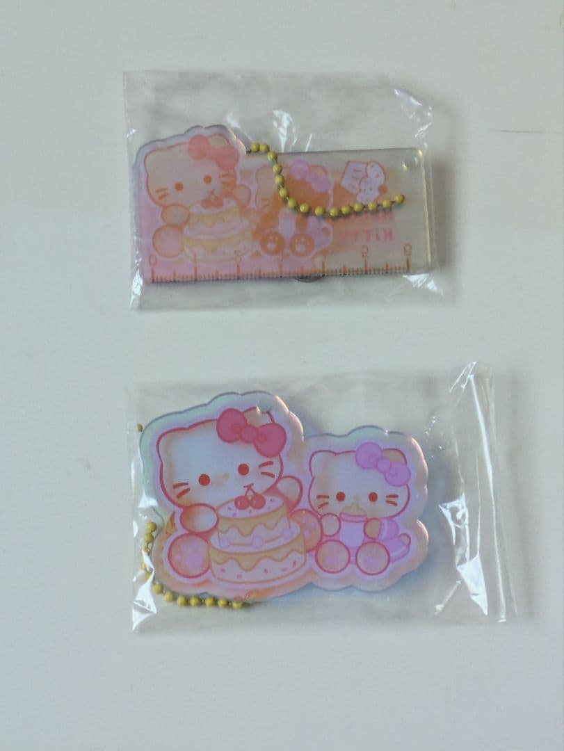 限定オーロラデザイン☆キティ A5　バインダー　シャカシャカ　カバー&チャーム付