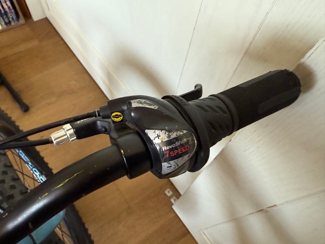 自転車本体 Cannondale Kids Cujo 20
