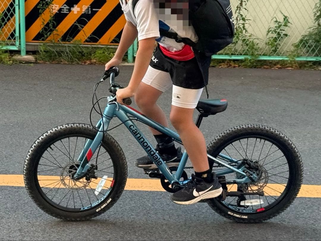 自転車本体 Cannondale Kids Cujo 20