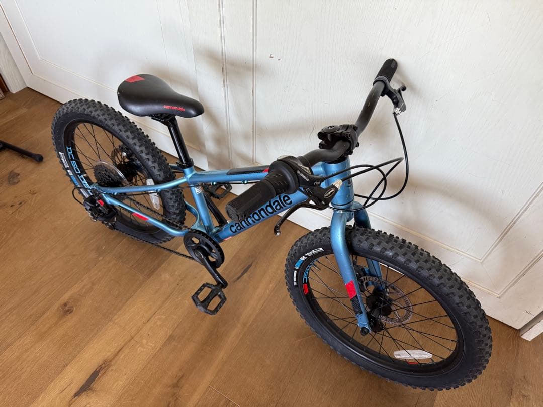 自転車本体 Cannondale Kids Cujo 20