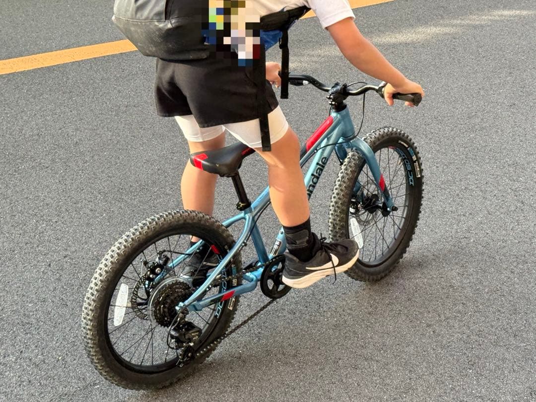 自転車本体 Cannondale Kids Cujo 20