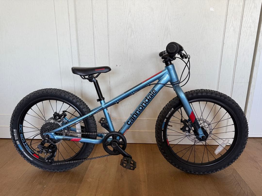 自転車本体 Cannondale Kids Cujo 20