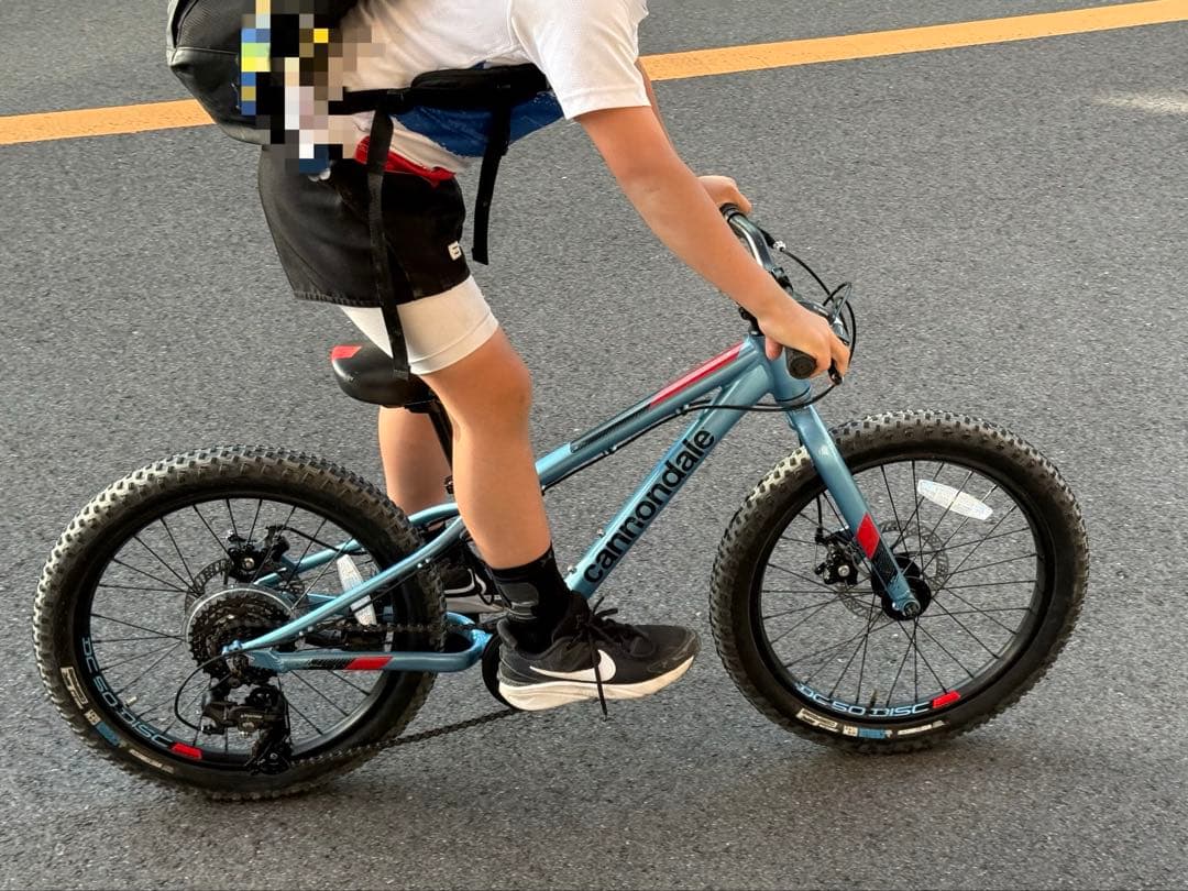 自転車本体 Cannondale Kids Cujo 20